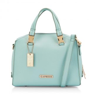 Caprese Eleanor Women's Satchel (Mint Green)